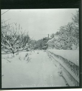 Image description is not available for PHO-4-W689-587